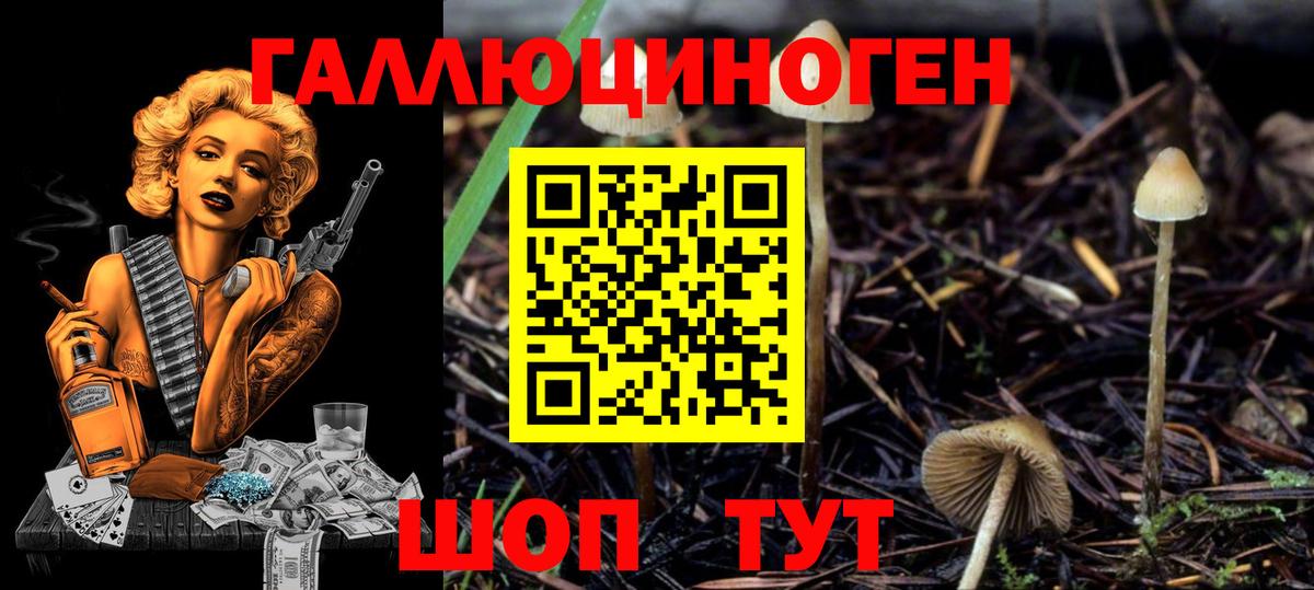 Галлюциногенные грибы Cubensis Юрга